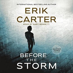 Before the Storm Audiobook Cover