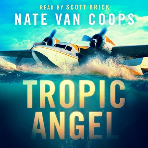 Tropic Angel by Nate Van Coops